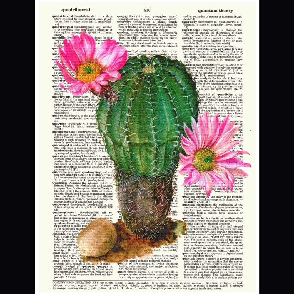 Cactus Blossom Succulent Bright Vintage Illustration Dictionary Art Print